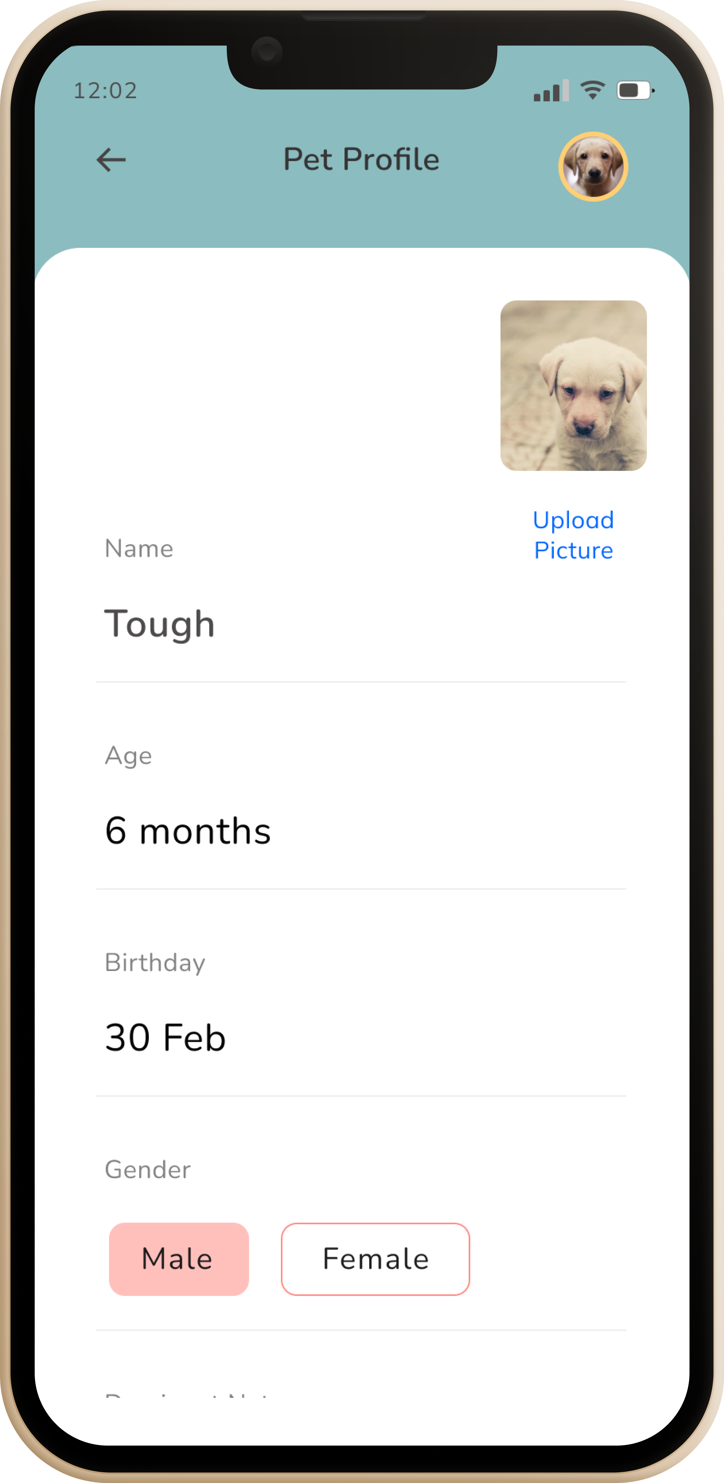 In-App Chat